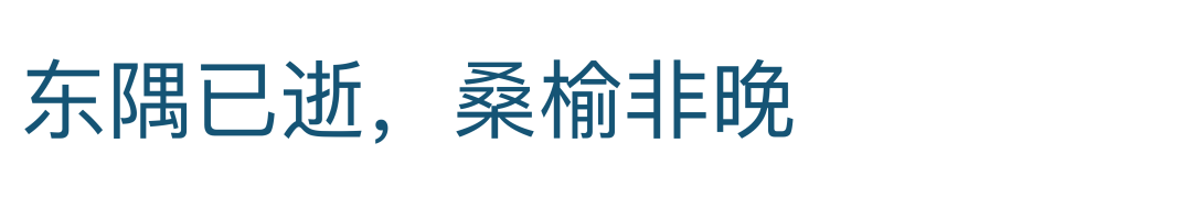 比特币世界中的认知膨胀与本质洞察：技术与市场的深度解析