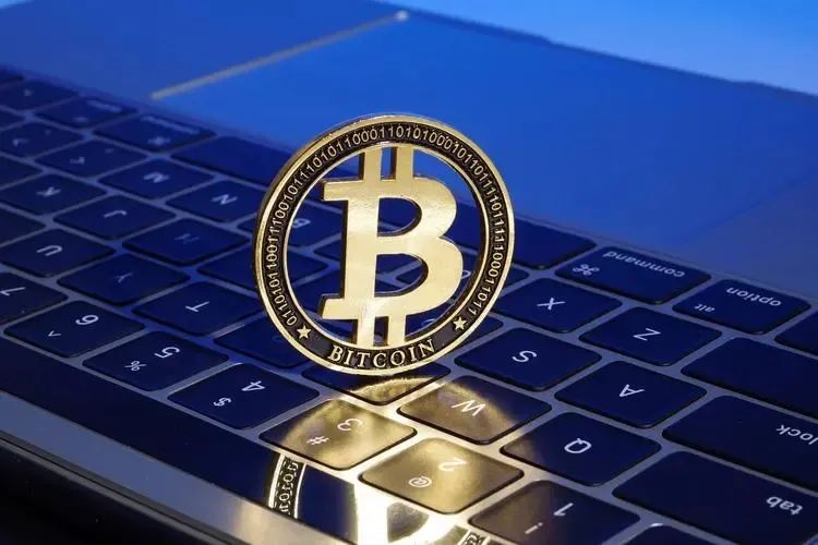 虚拟货币的投资风险与回报_货币虚拟回报风险投资理论_虚拟币价值投资