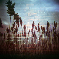 如何选择金融编程论文题目：金融技术应用、区块链与大数据分析