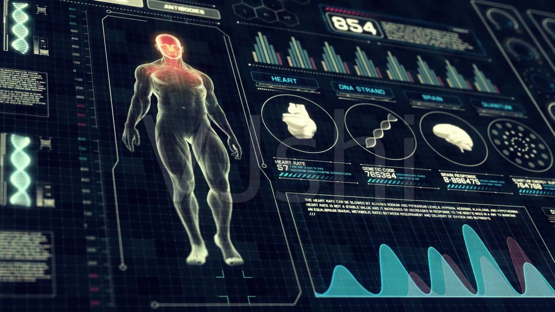 数字音乐的产业价值链研究_佛山市民数字健康服务_研究数字资产在健康产业的潜力：如何提升服务质量与用户体验