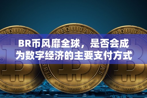 BR币：探索数字货币如何成为数字经济的主要支付方式