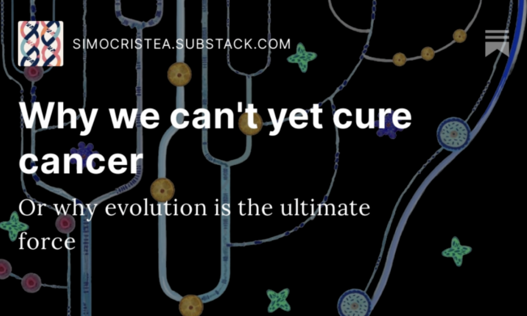 加密货币支付是什么意思_加密货币用途_理解加密货币在社会服务中的应用：如何提升服务效率与用户体验