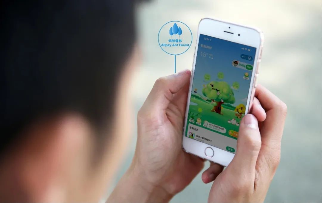 碳排放权交易管理暂行条例下个人如何参与碳交易?