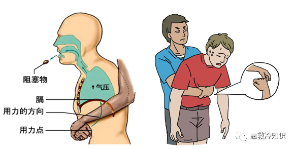 冷钱包都有什么_安全第一：十大冷钱包推荐 | 数据保护的重要性_冷钱包会坏吗