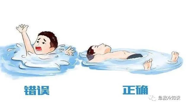 安全第一：十大冷钱包推荐 | 数据保护的重要性_冷钱包会坏吗_冷钱包都有什么