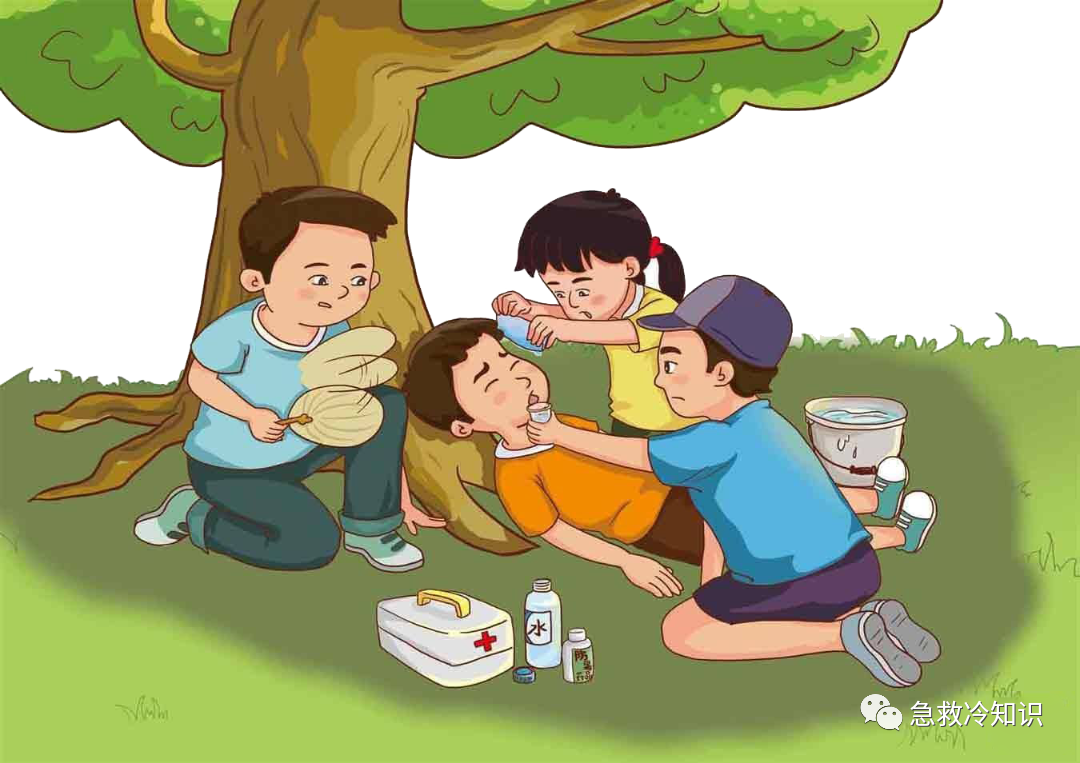 安全第一：十大冷钱包推荐 | 数据保护的重要性_冷钱包会坏吗_冷钱包都有什么