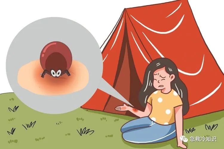 冷钱包都有什么_冷钱包会坏吗_安全第一：十大冷钱包推荐 | 数据保护的重要性