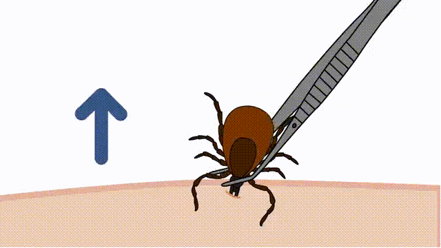冷钱包都有什么_冷钱包会坏吗_安全第一：十大冷钱包推荐 | 数据保护的重要性
