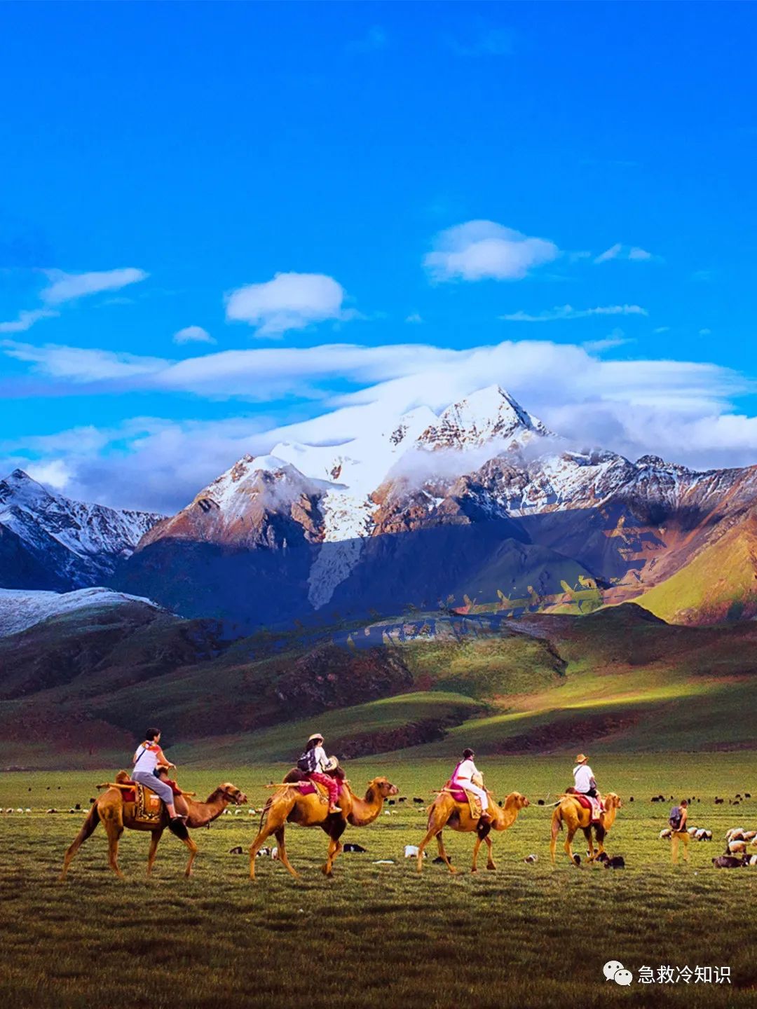 冷钱包都有什么_安全第一：十大冷钱包推荐 | 数据保护的重要性_冷钱包会坏吗