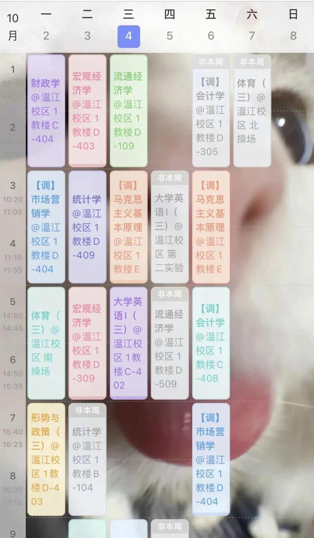 探讨数字货币在心理咨询中的应用：通过技术促进心理健康的得到改善_探讨数字货币在心理咨询中的应用：通过技术促进心理健康的得到改善_探讨数字货币在心理咨询中的应用：通过技术促进心理健康的得到改善