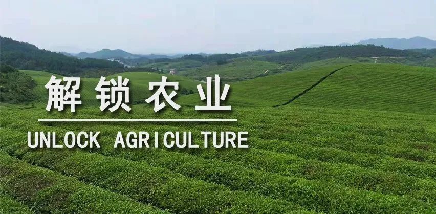 舞东风供应管理链系统_胖东来供应链系统_产品质量背后的故事：胖东来的供应链管理