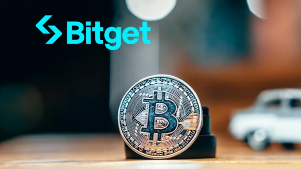 usdt币怎么买入个人账户(769)