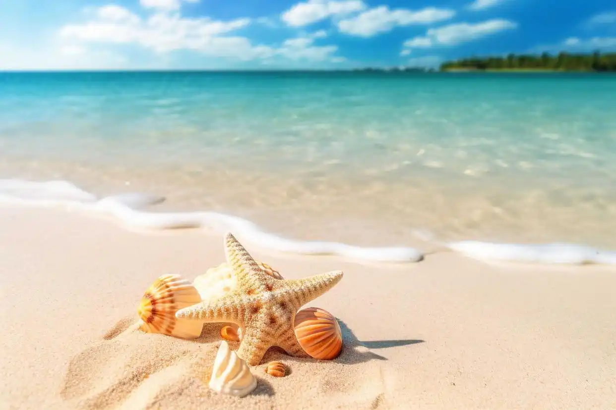 如何走出舒适区迎接人生挑战：成长与自我突破的关键策略