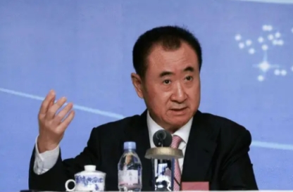 王健林企业家_王健林主要贡献_王健林的企业责任与社会贡献