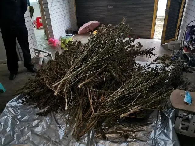 货币虚拟化的后果_虚拟货币与国际贸易的结合_货币虚拟贸易结合国际交易