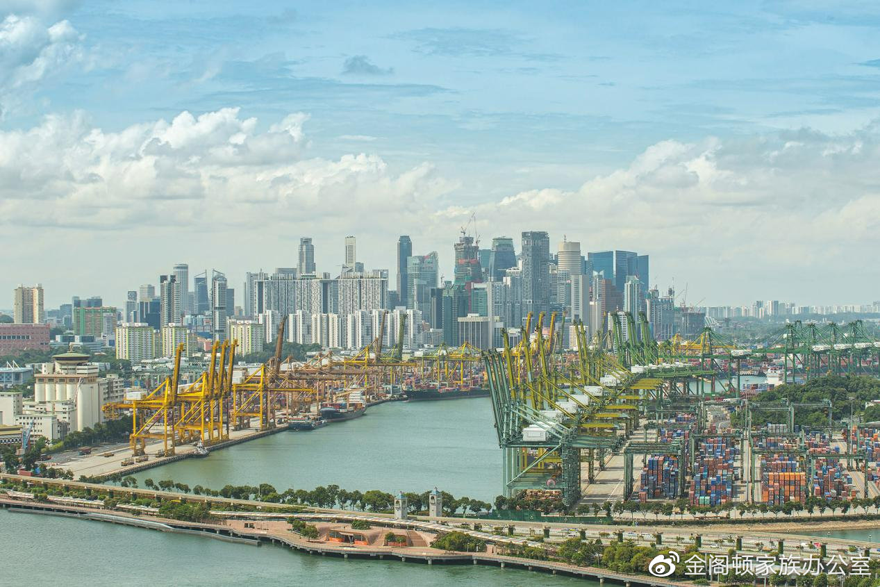 币白皮书_数字货币白皮本书是什么_如何分析数字货币的白皮书