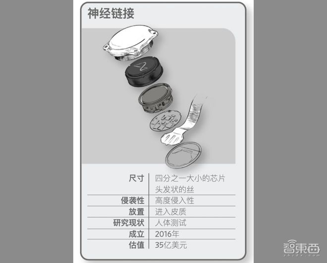 马斯克提及Neuralink未来计划：2025年将为部分患者提供脑机接口植入_马斯克人脑接口概念股_马斯克脑植入芯片