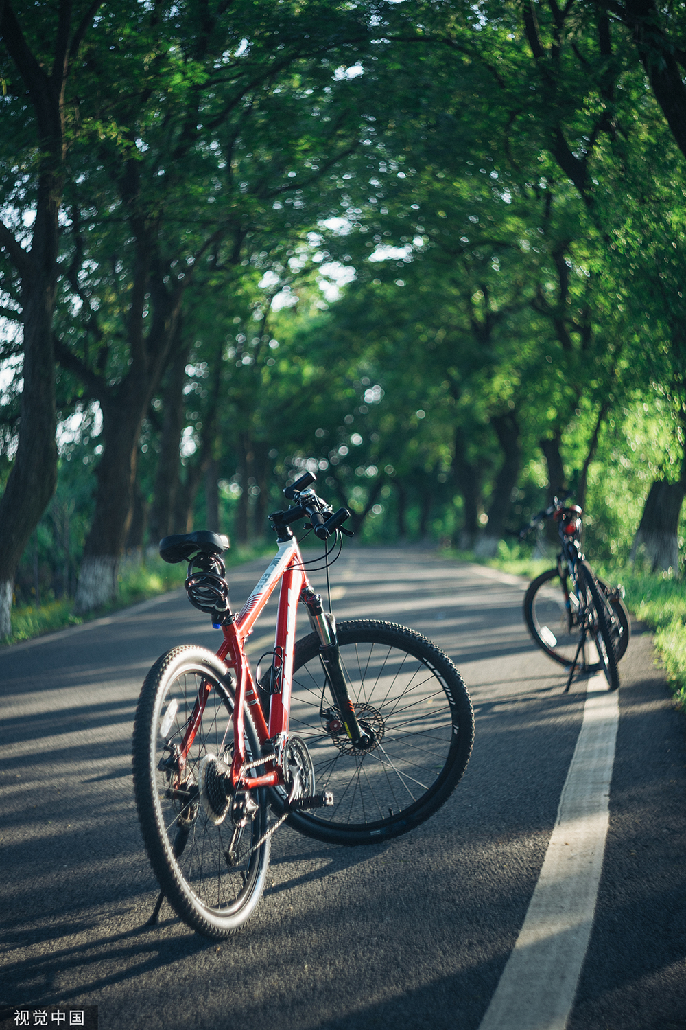 探讨虚拟货币在气候变化应对中的应用：利用资金与技术推动可持续发展_货币的虚拟化好处_虚拟币应用场景