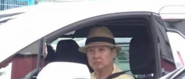 洪金宝与武术界的互动与发展_洪金宝的武术师傅是谁_洪金宝担任武术指导的电影