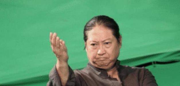 洪金宝武术_洪金宝与武术界的互动与发展_洪金宝担任武术指导的电影