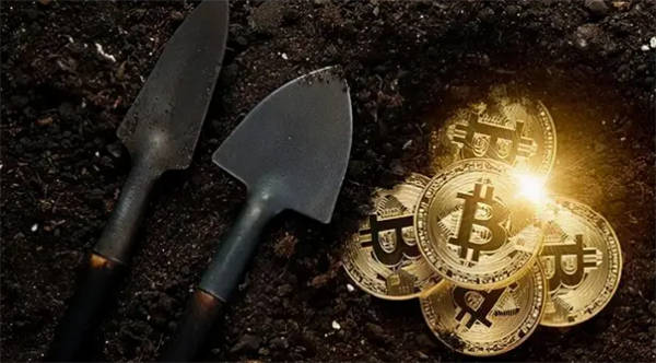 CoinMex官方APP下载：安全可靠的数字资产交易平台，行业领导者