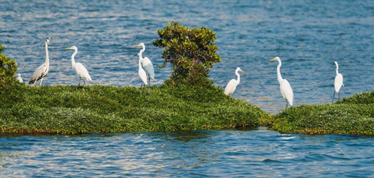 包青天的诚信与社会责任_包青天的诚信与社会责任_包青天的诚信与社会责任
