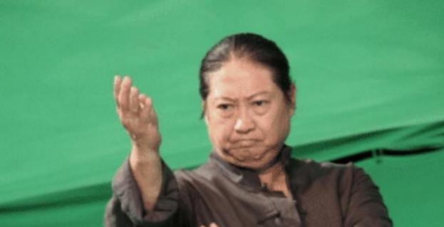 洪金宝的武术师傅是谁_洪金宝与武术界的互动与发展_武术宗师洪金宝来了