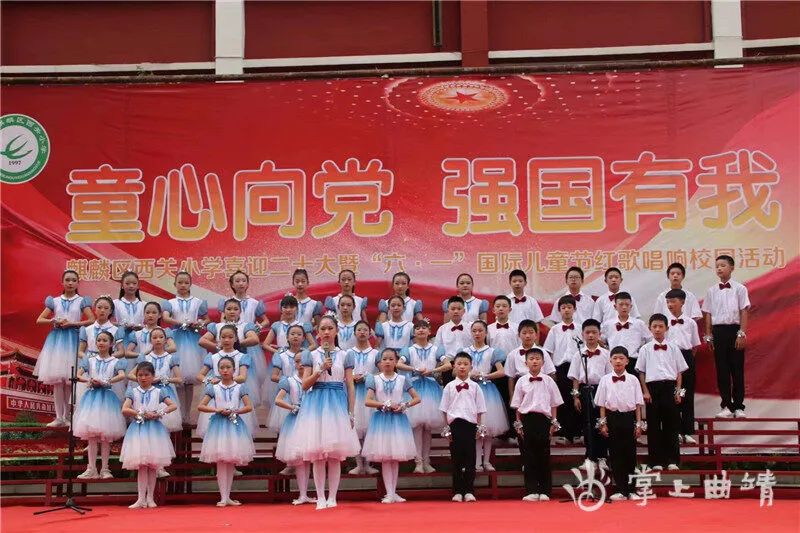 追逐梦想勇气_勇敢追寻梦想_张青：追寻梦想的勇者