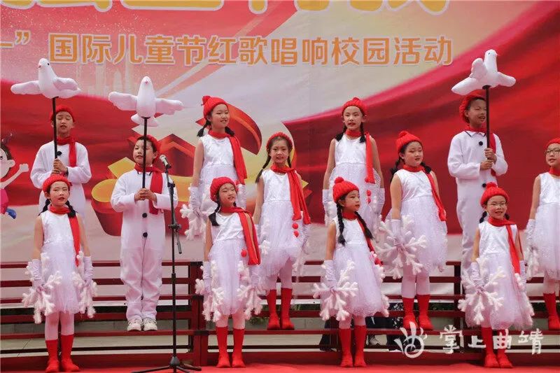 勇敢追寻梦想_追逐梦想勇气_张青：追寻梦想的勇者