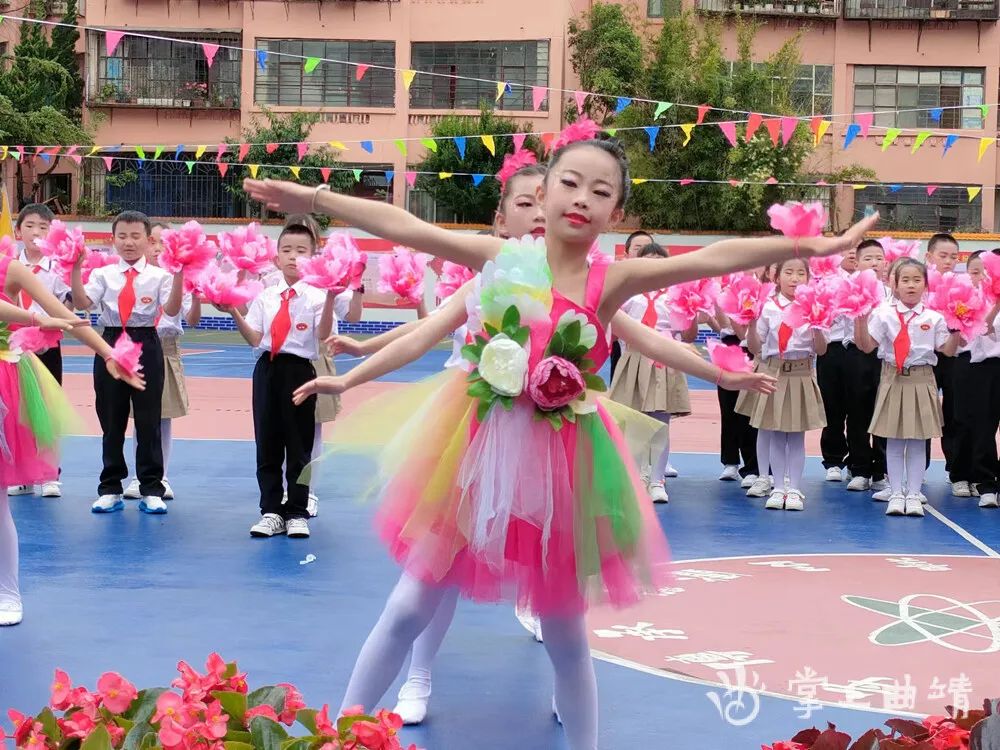 勇敢追寻梦想_追逐梦想勇气_张青：追寻梦想的勇者