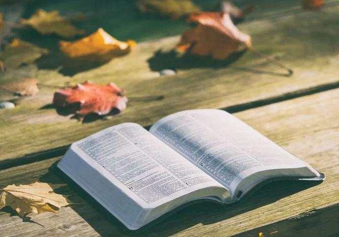 比特币： 数字黄金的崛起_比特崛起币黄金数字是多少_比特币的崛起下载