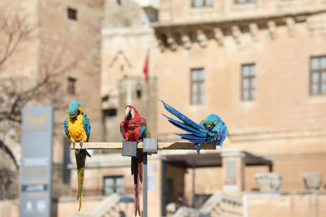 分析数字货币与传统金融的互动：如何共同优化资源配置_货币数字化转型_数字货币金融模型