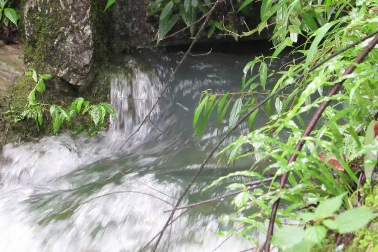 河南许昌胖东来超市服务_胖东来老板于东来现状_胖东来以顾客为中心的服务实例分享