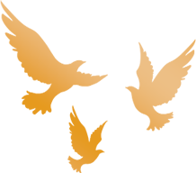 钱包展开图_冷钱包APP的功能拓展与升级 | 官方版的持续发展_百度钱包app官方下载