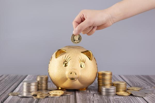 火炬货币：探究数字火炬下的金融创新之路图1