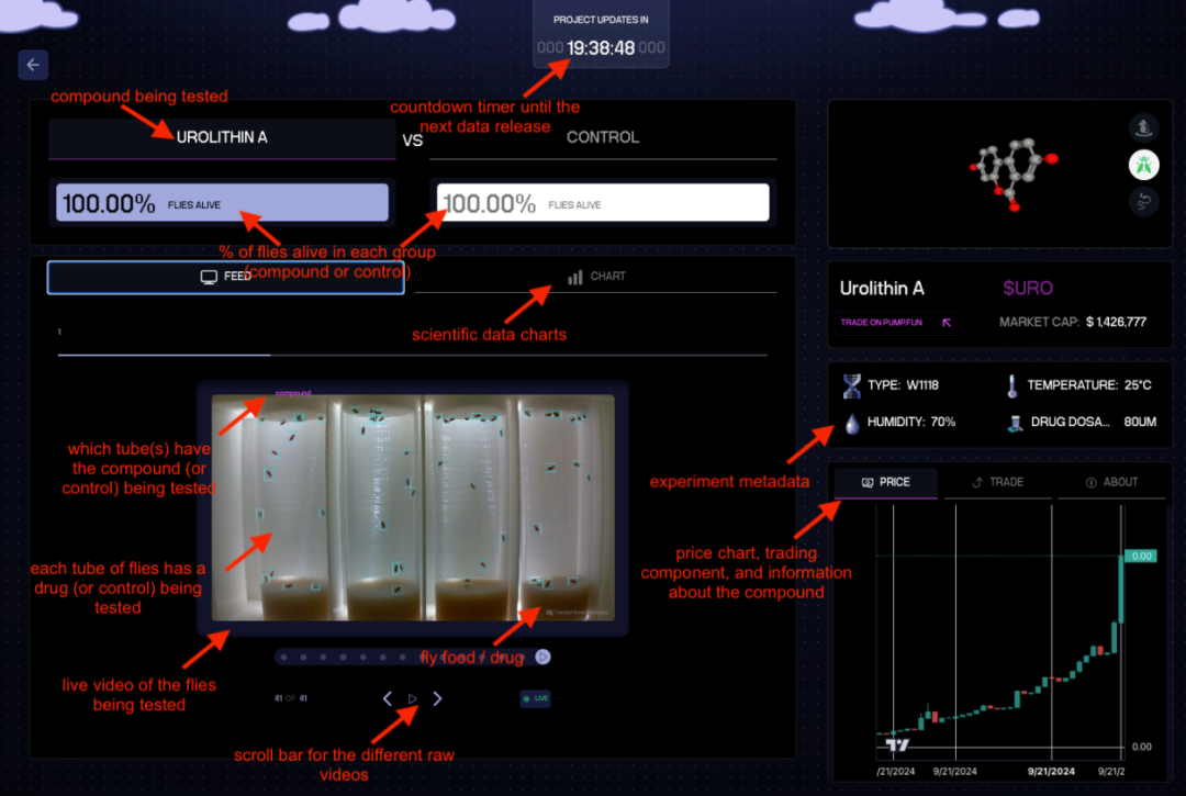 以太坊注册流程_以太坊钱包私钥匙_以太坊钱包的恢复与注册流程解析