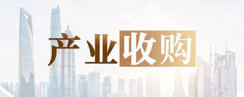 全球主要数字货币的市场表现：从价格波动到交易量的综合分析_数字货币波浪理论_数字货币的波动