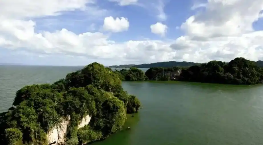 数字货币的用户行为分析_数字货币的货币性研究_数字货币的价值尺度