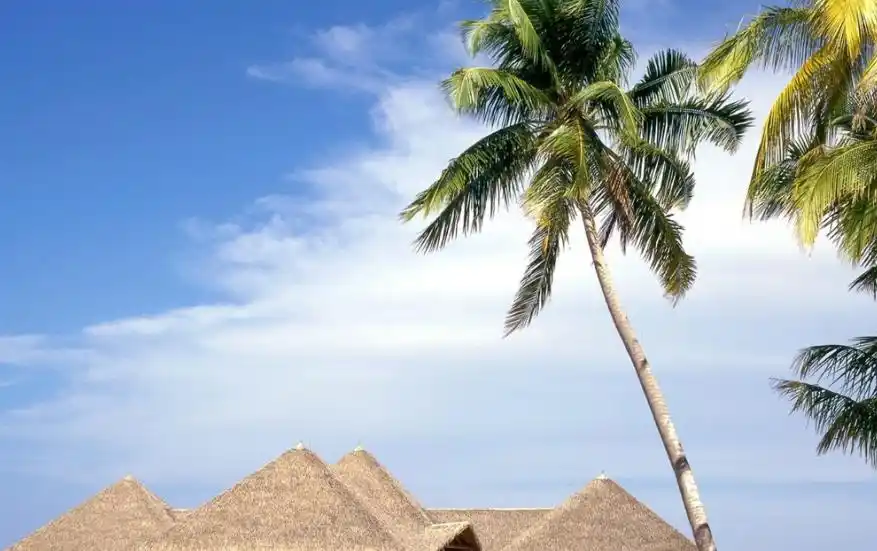 数字货币的价值尺度_数字货币的货币性研究_数字货币的用户行为分析