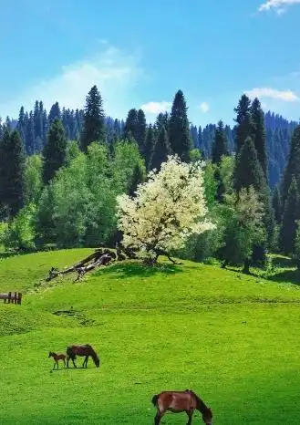 数字货币的价值尺度_数字货币的货币性研究_数字货币的用户行为分析