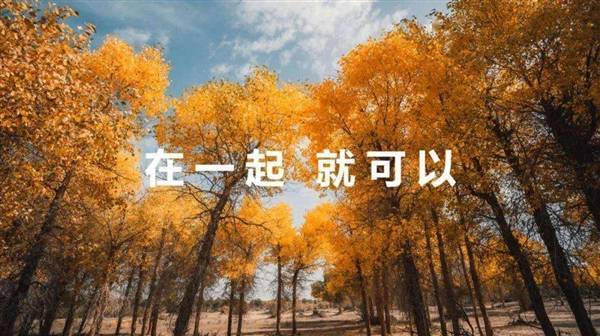 华为在全球的实力_华为Mate系列的全球影响力_华为对世界