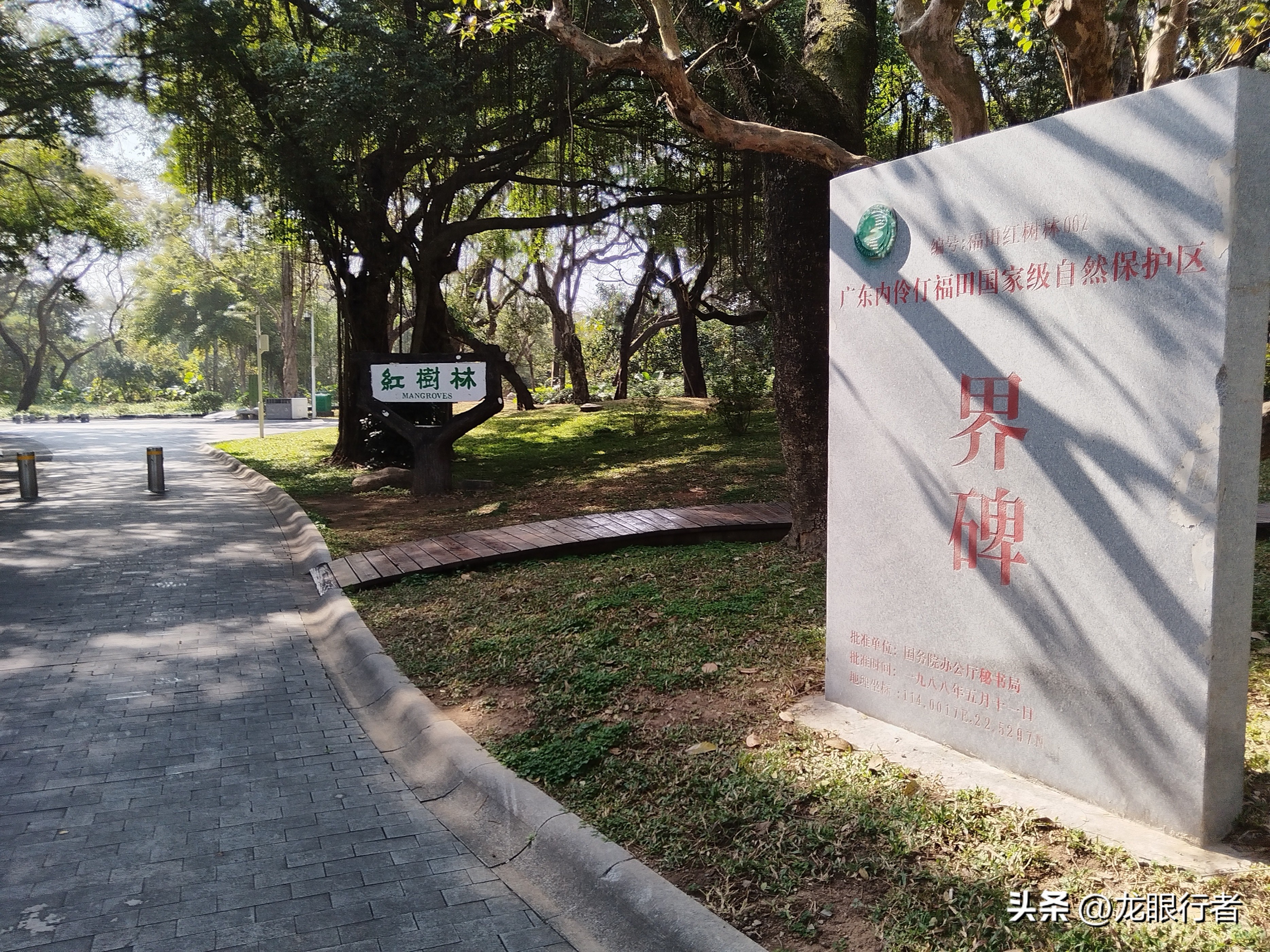 深圳福田红树林自然保护区：提前三个月预约，探索国家级自然保护区的五大亮点