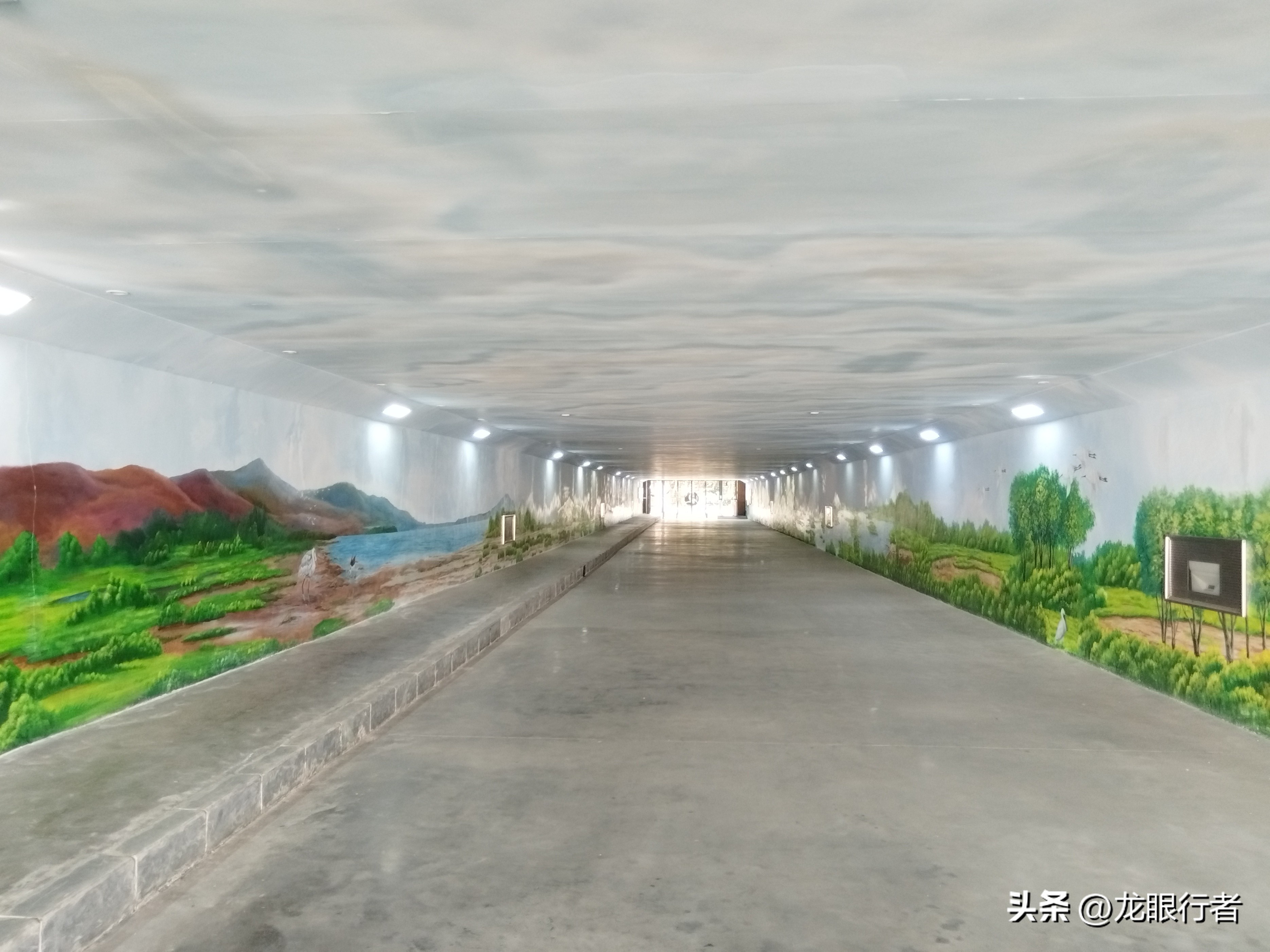 亮点纷呈_亮点茶楼_亮点