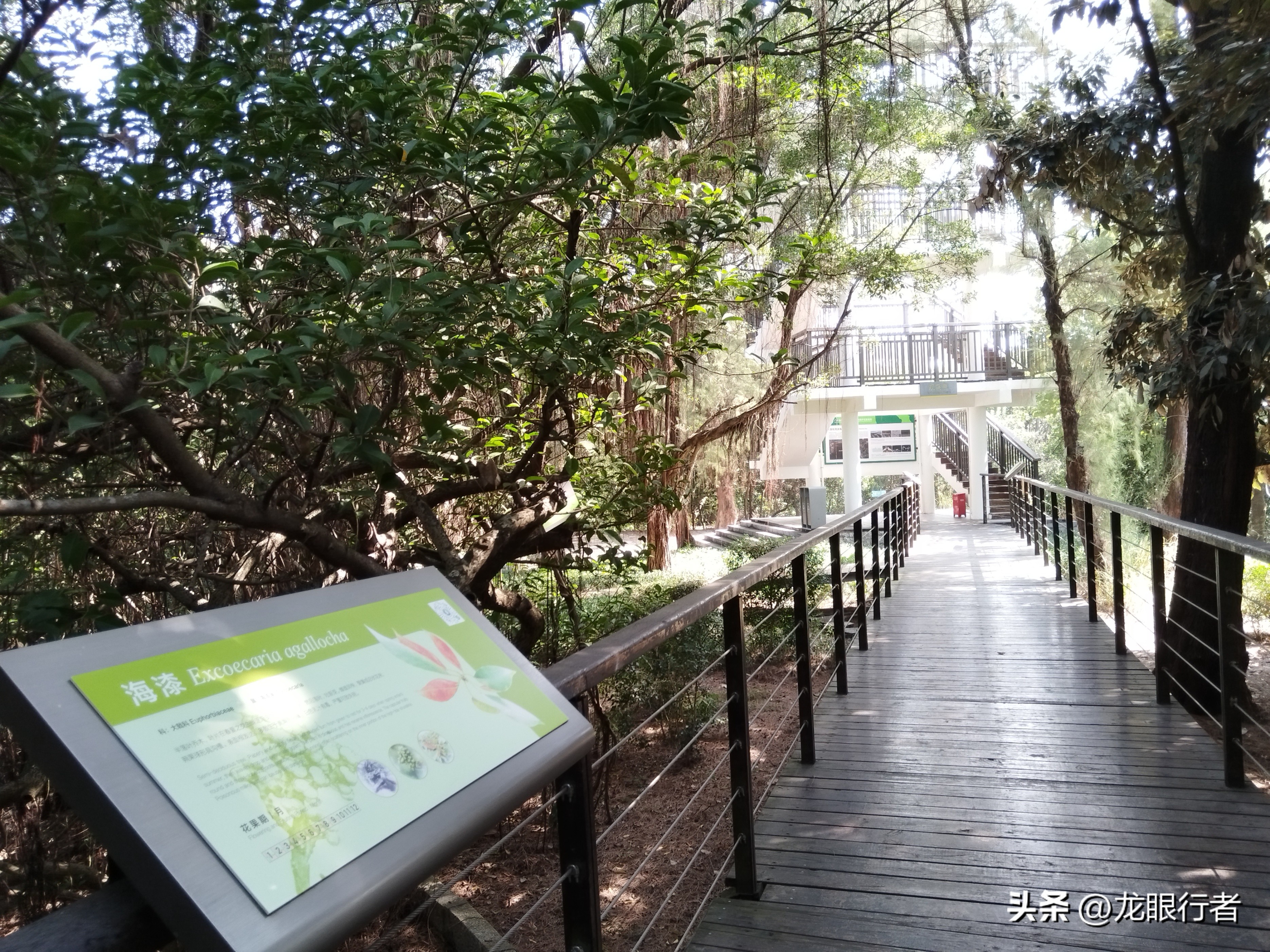 亮点茶楼_亮点纷呈_亮点