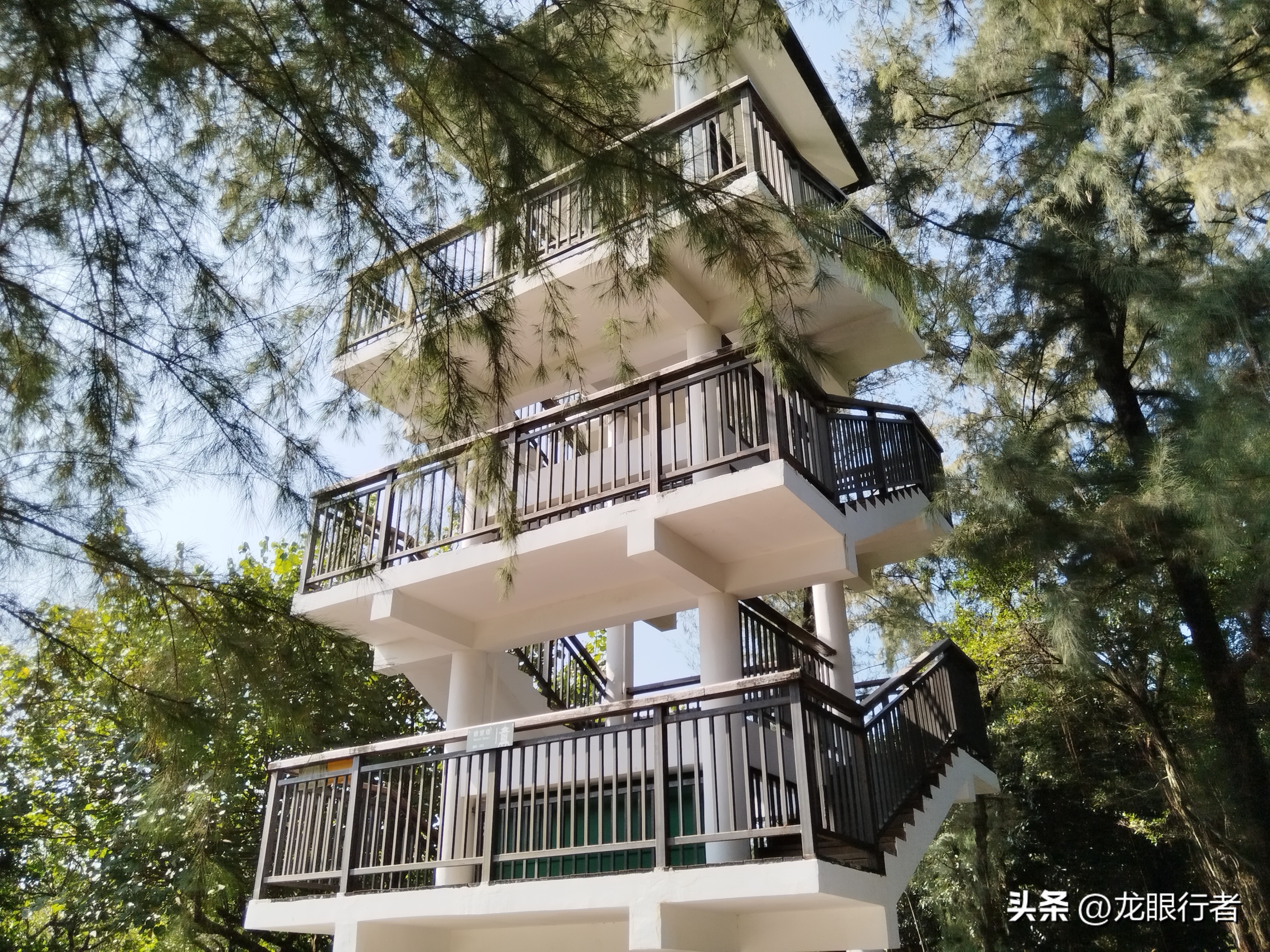 亮点纷呈_亮点茶楼_亮点