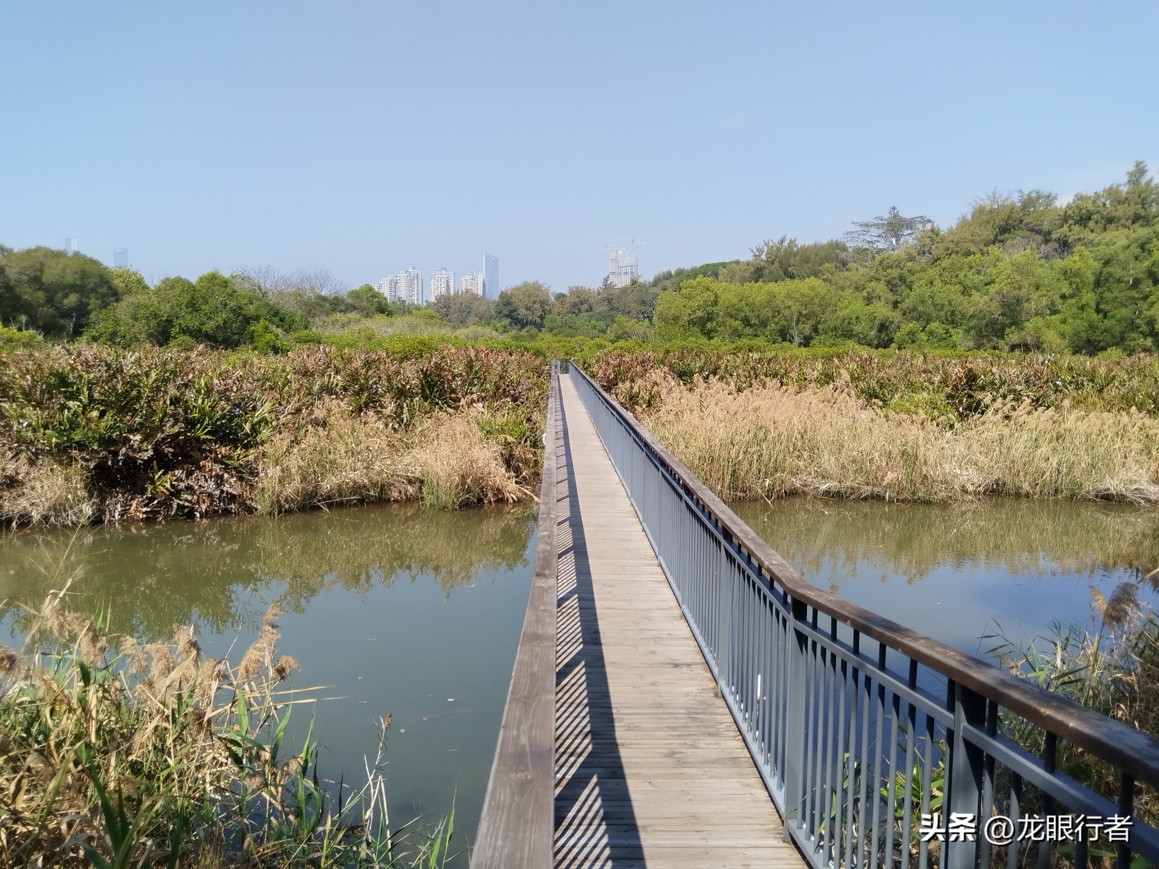 亮点纷呈_亮点茶楼_亮点