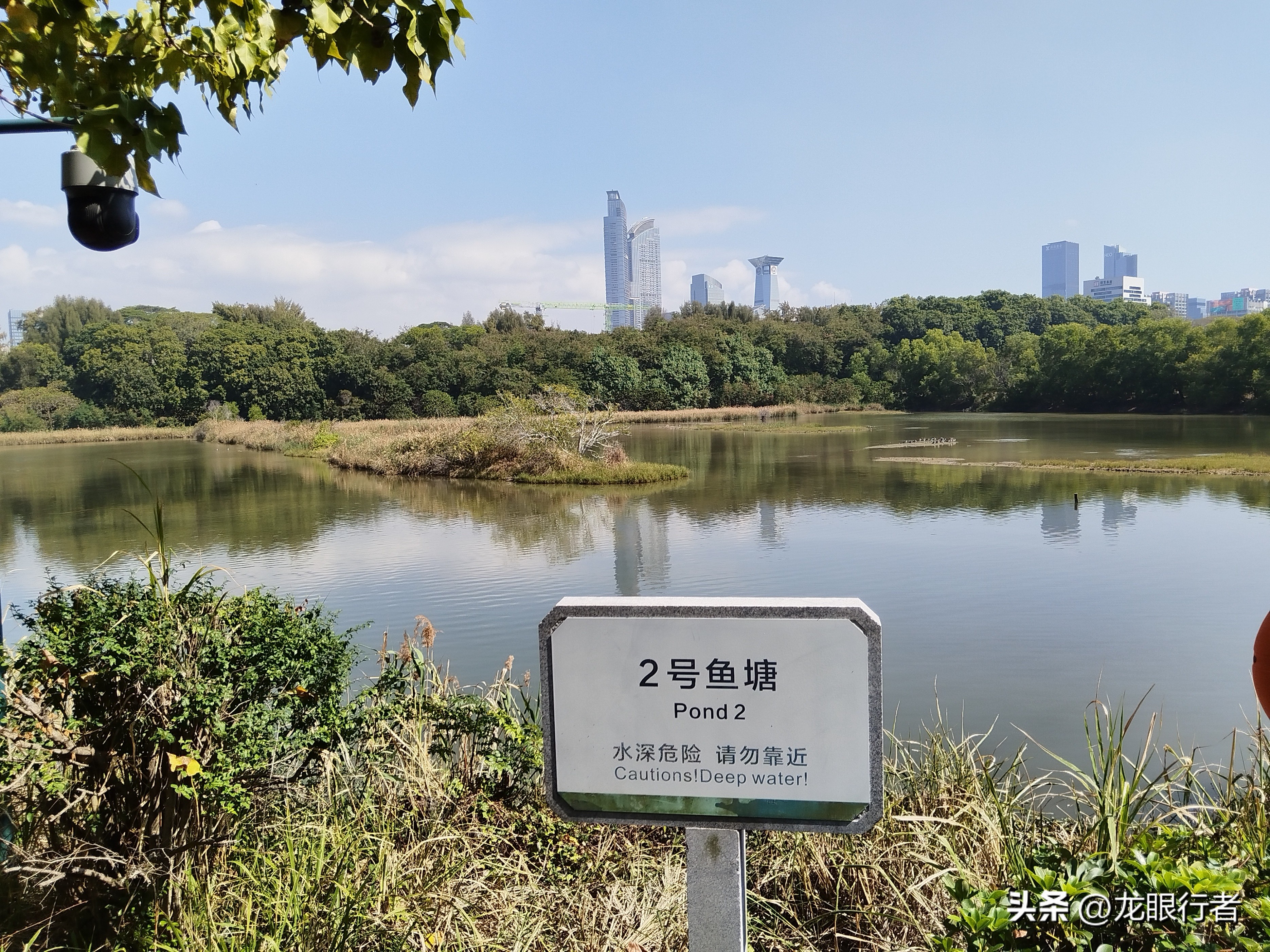 亮点纷呈_亮点茶楼_亮点