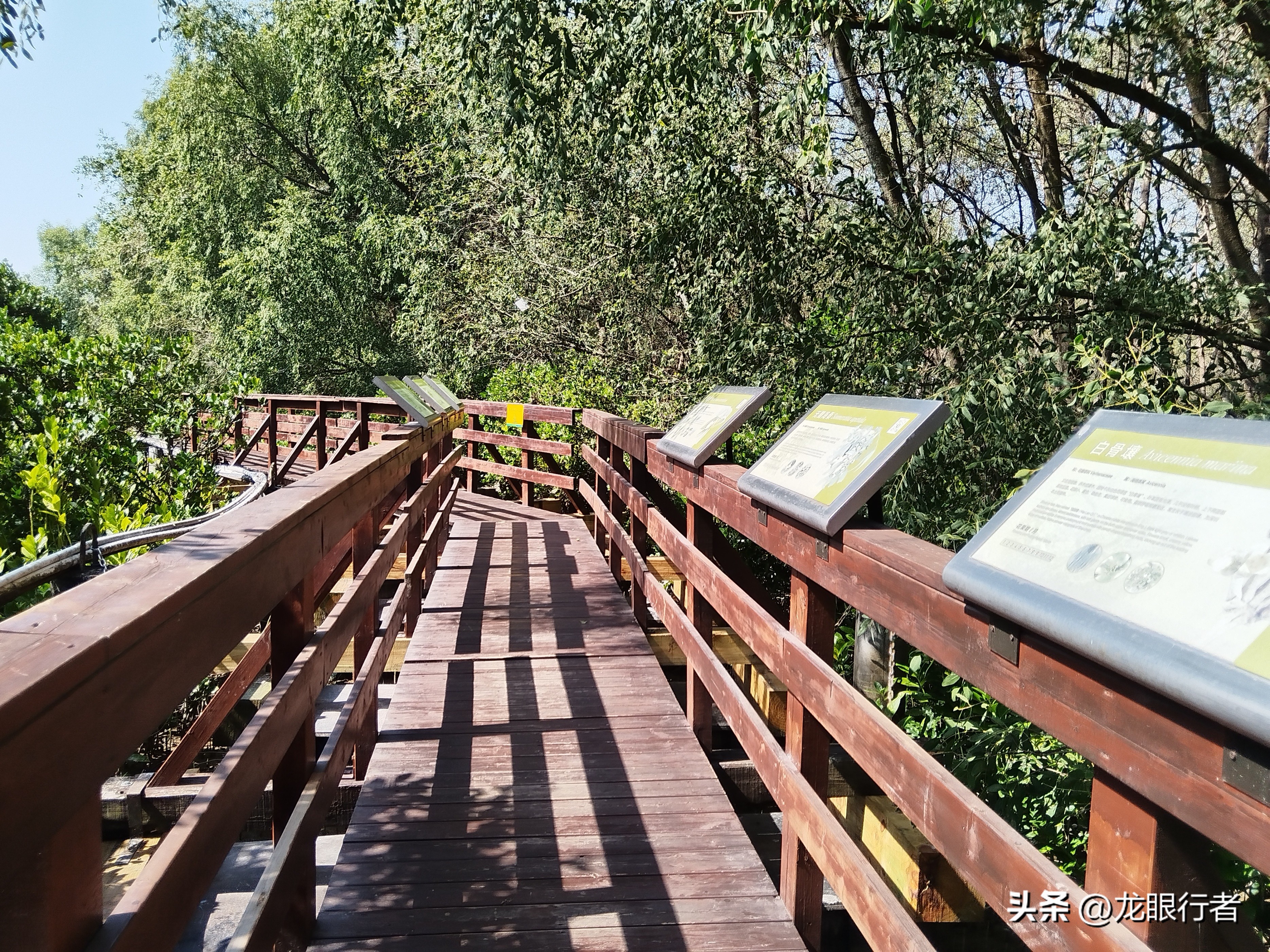 亮点茶楼_亮点纷呈_亮点