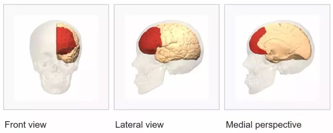 职业德扑玩家安妮·杜克如何用10/10/10工具和尤尼西斯合约提升决策能力
