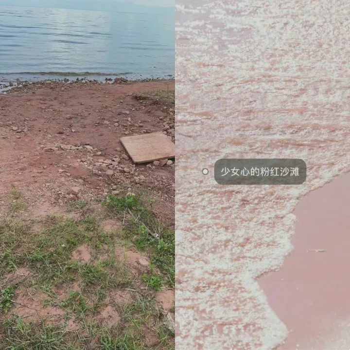 狐狸的钱包_小狐狸钱包与其它钱包的对比分析_小狐狸钱包heco